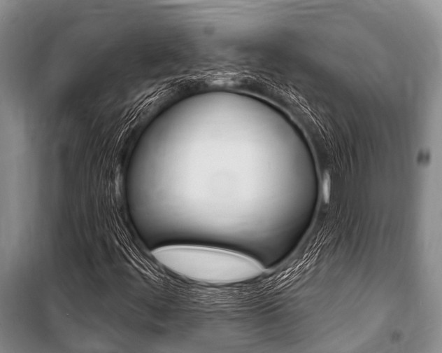 X0000101151444200806270748