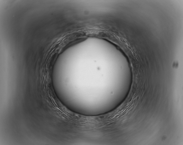 X0000101151445200806270748