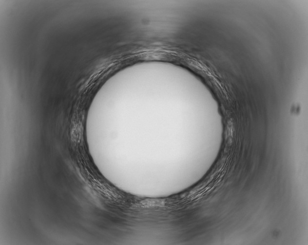 X0000101151446200806270748