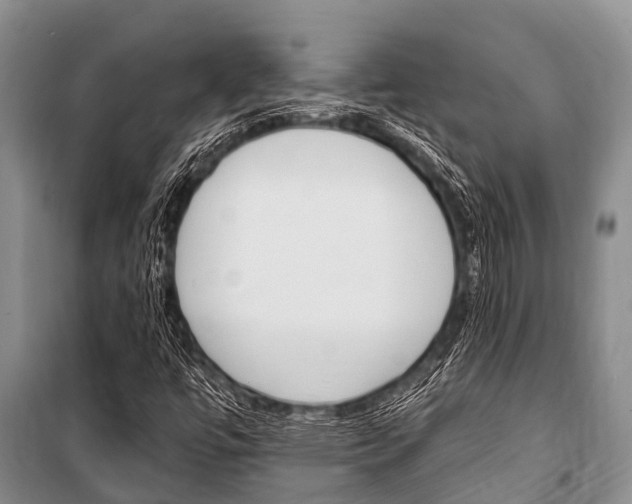 X0000101151447200806270748