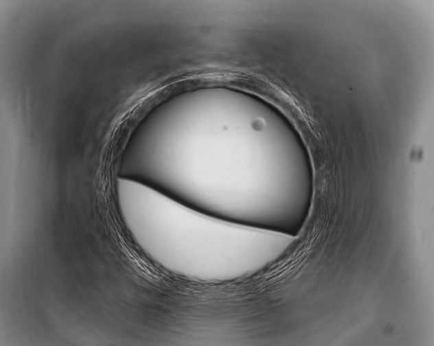 X0000101151448200806270748