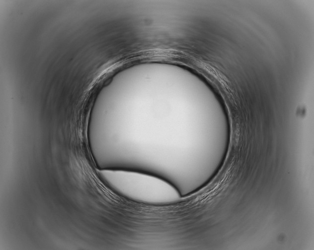 X0000101151451200806270748