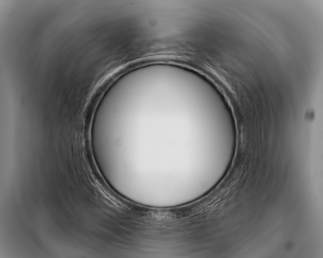 X0000101151452200806270748