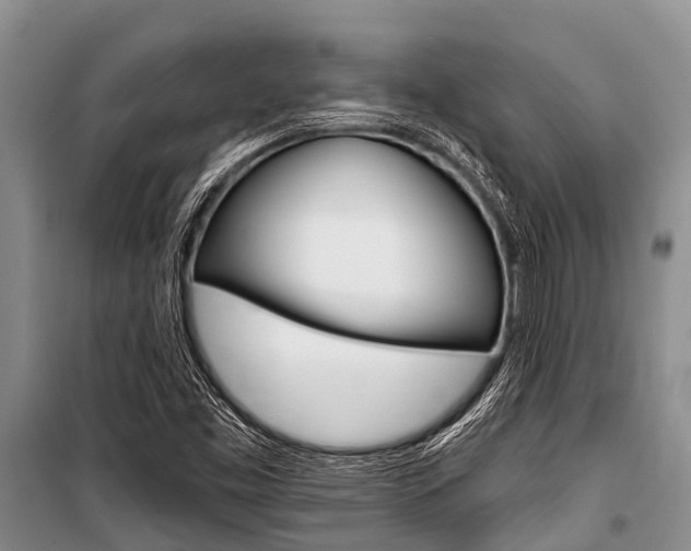 X0000101151453200806270748