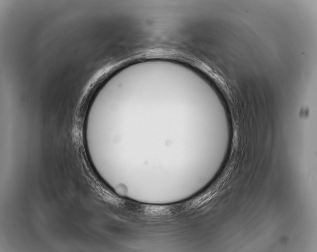 X0000101151454200806270748