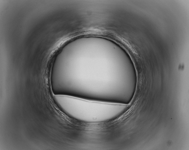 X0000101151455200806270748