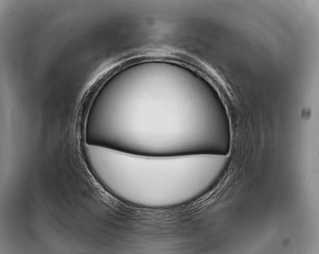 X0000101151456200806270748