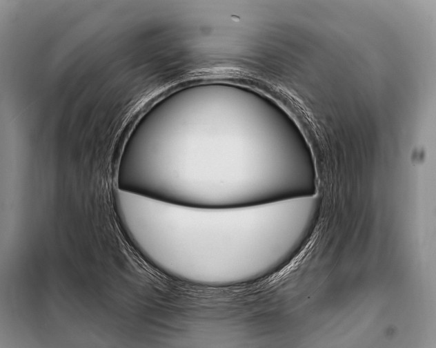 X0000101151457200806270748