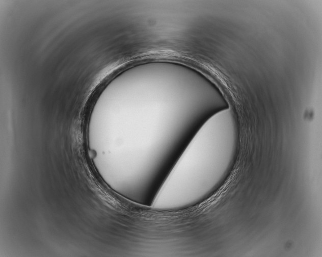 X0000101151458200806270748