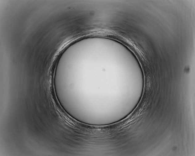 X0000101151459200806270748