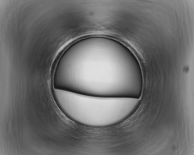 X0000101151460200806270748