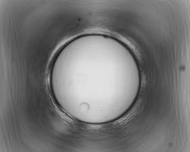 X0000101151462200806270748