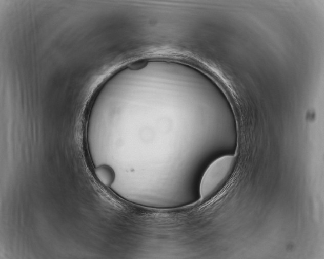 X0000101151463200806270748
