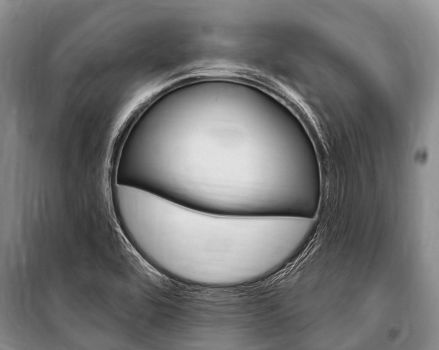 X0000101151464200806270748