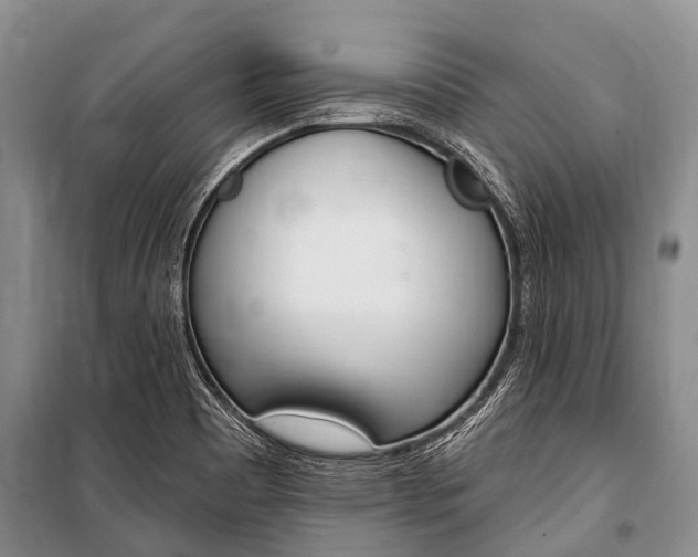 X0000101151465200806270748
