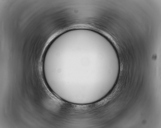 X0000101151466200806270748