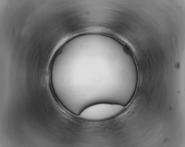 X0000101151467200806270748