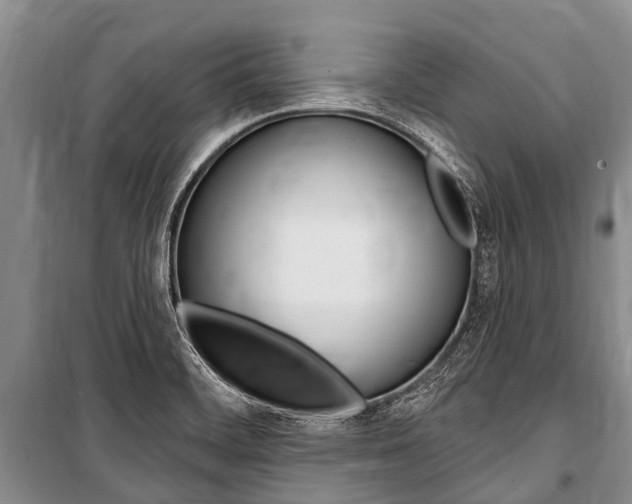 X0000101151468200806270748