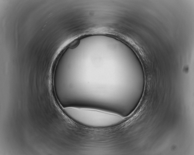 X0000101151469200806270748