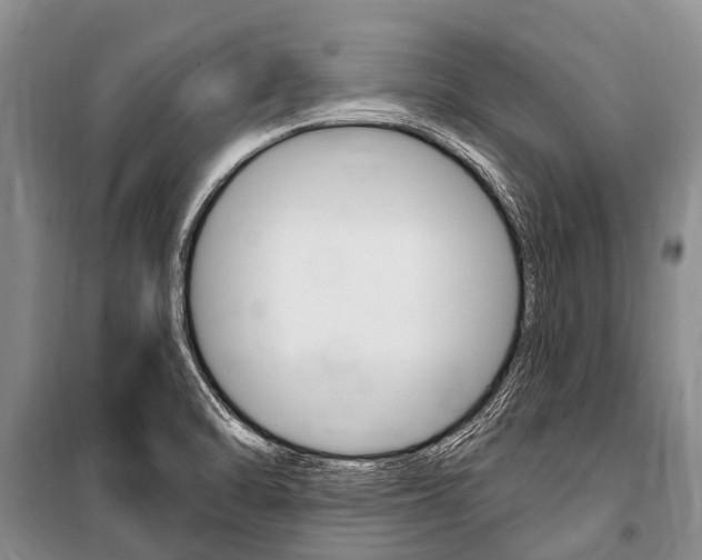 X0000101151470200806270748