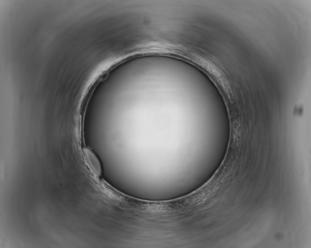 X0000101151472200806270748
