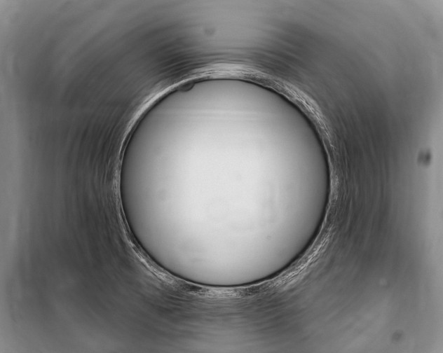 X0000101151473200806270748
