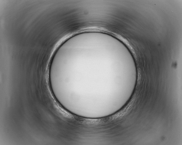 X0000101151474200806270748