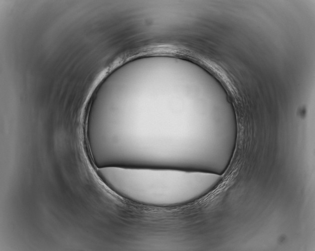X0000101151475200806270748