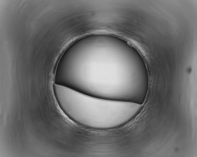 X0000101151476200806270748