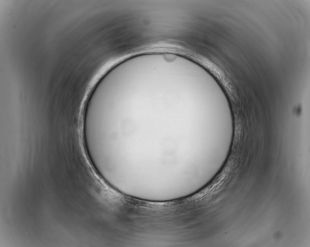 X0000101151478200806270748