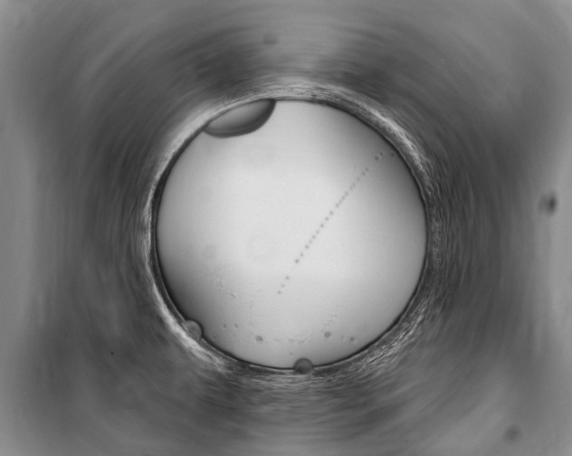 X0000101151479200806270748