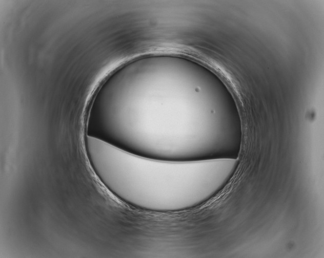 X0000101151480200806270748