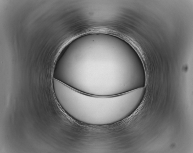 X0000101151481200806270748