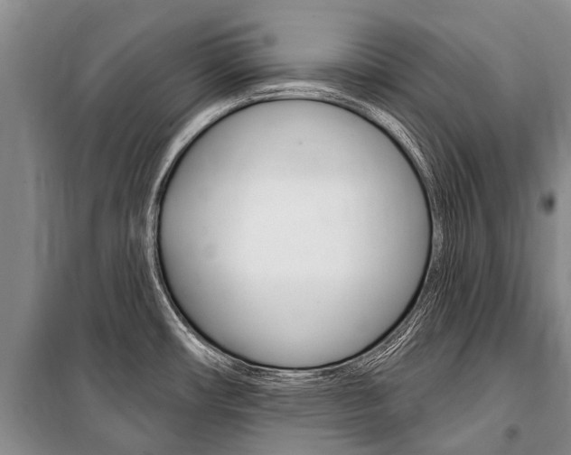 X0000101151482200806270748