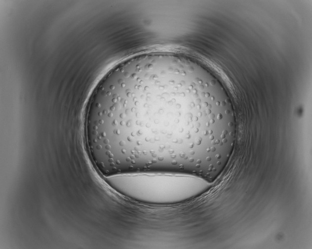 X0000101151483200806270748