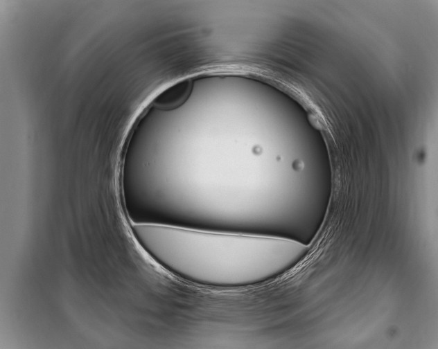 X0000101151484200806270748
