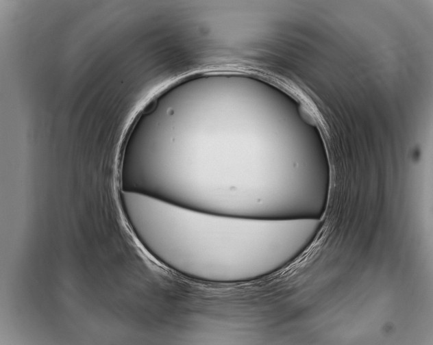 X0000101151485200806270748