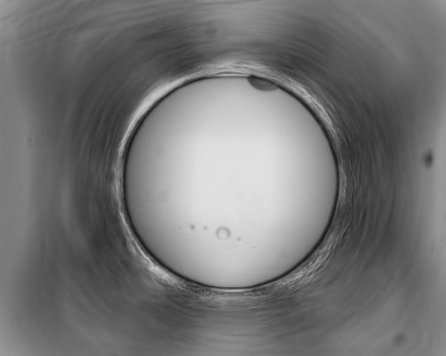 X0000101151486200806270748