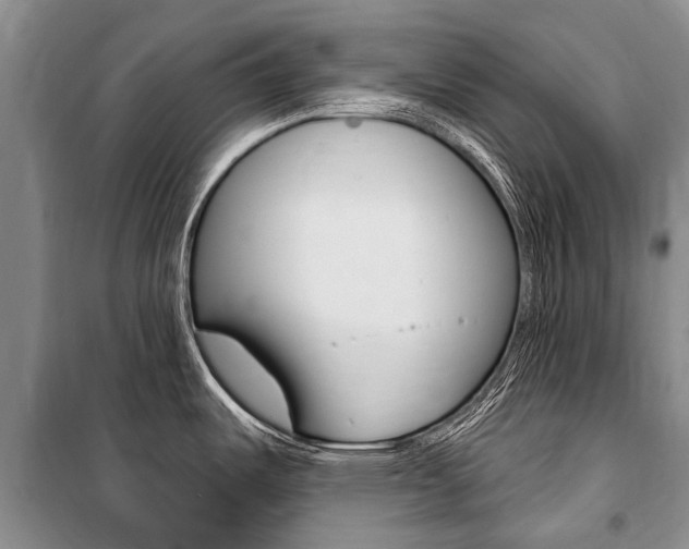 X0000101151487200806270748