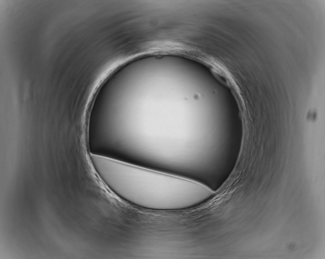 X0000101151488200806270748
