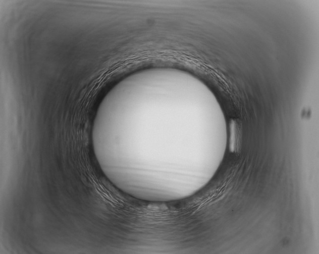 X0000101151491200806270747