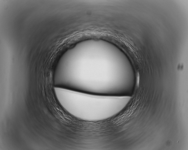 X0000101151492200806270747