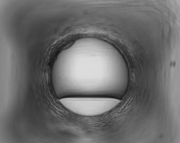 X0000101151493200806270747