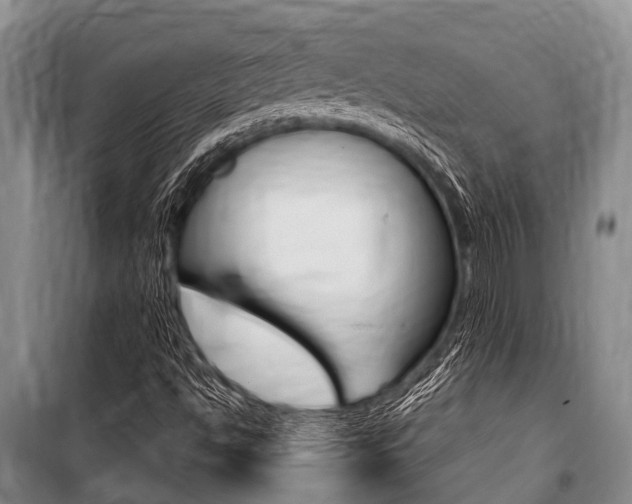 X0000101151494200806270747