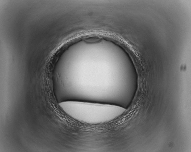 X0000101151496200806270747
