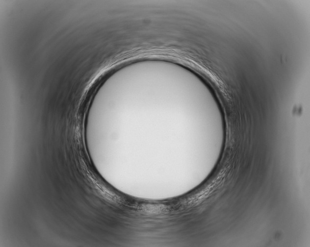 X0000101151498200806270747