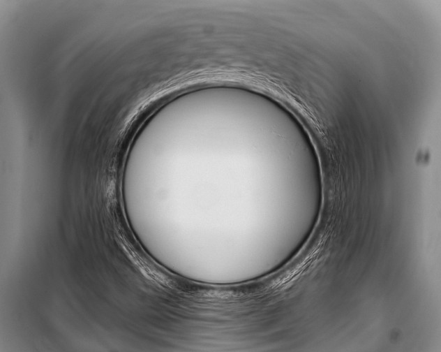 X0000101151499200806270747