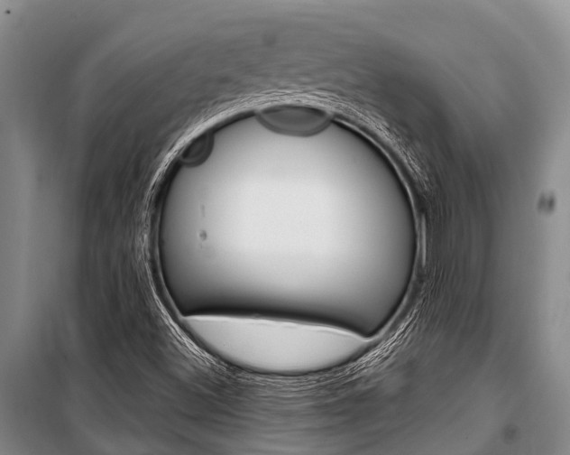 X0000101151500200806270747