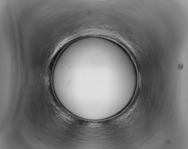 X0000101151501200806270747