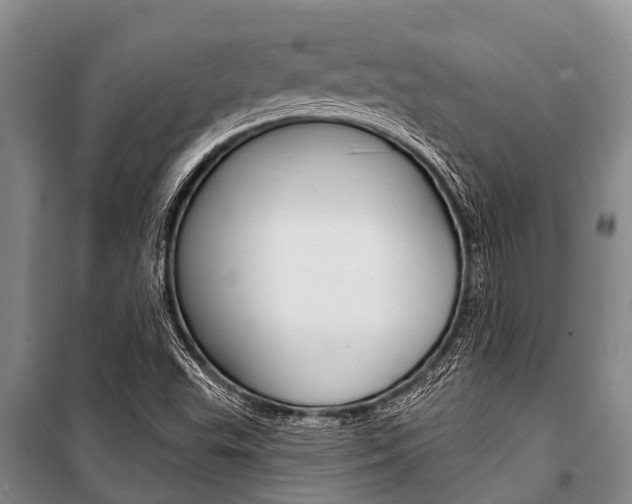 X0000101151503200806270747
